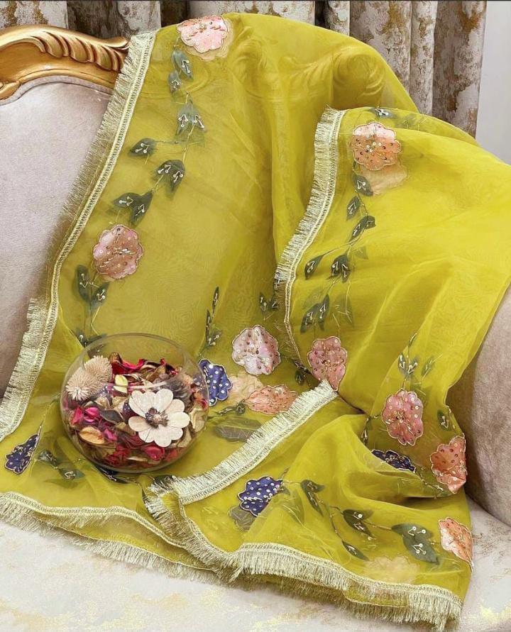 Oganza Embroidered Dupatta